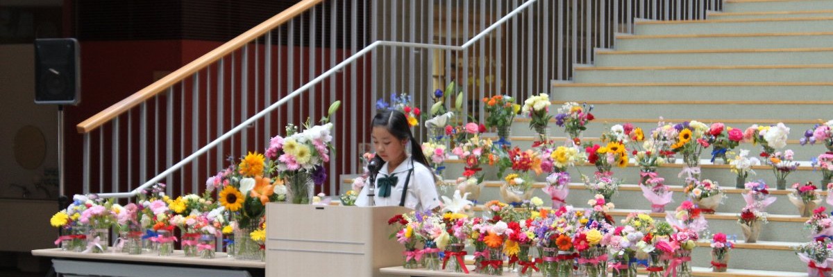 在校生の声